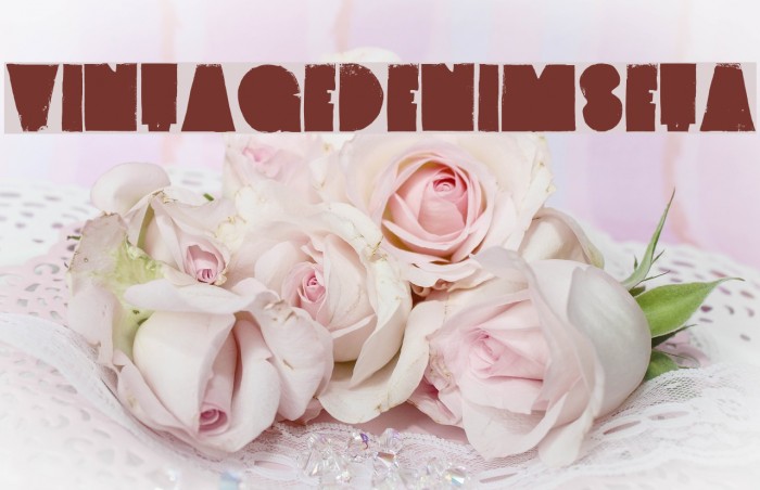 VintageDenim-SetA Font examples