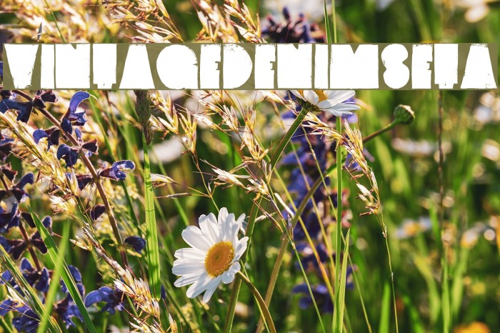 VintageDenim-SetA Font examples