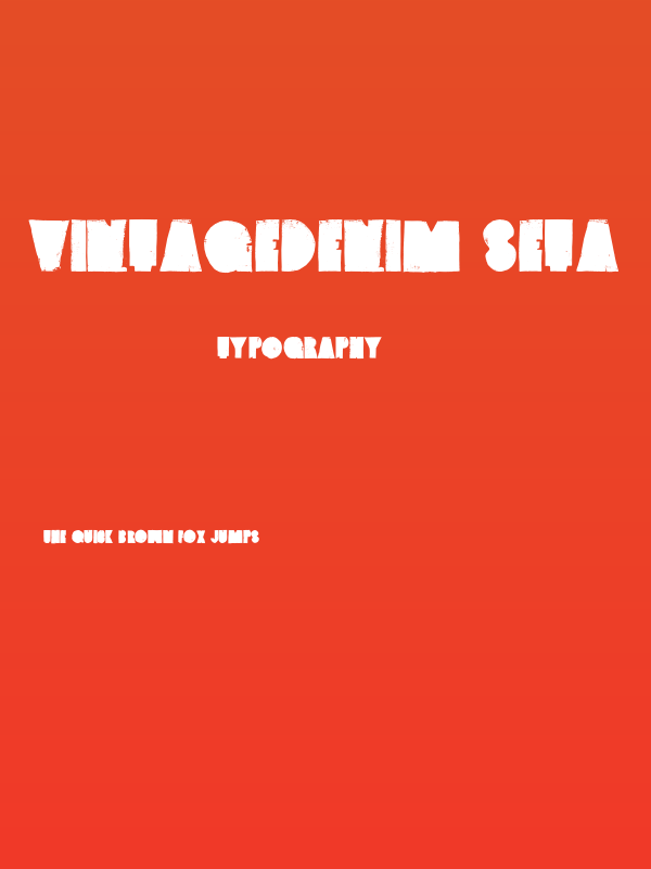 VintageDenim-SetA Poster