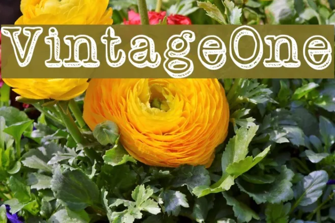 VintageOne Example 3