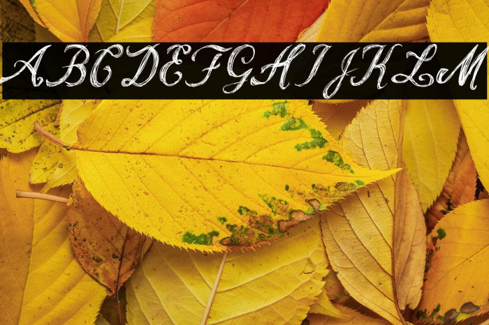 VintageSoda20s Example 2