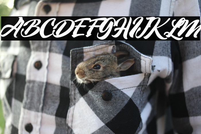 VintageStyle-Regular Example 1