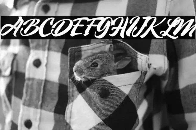 VintageStyle-Regular Font examples