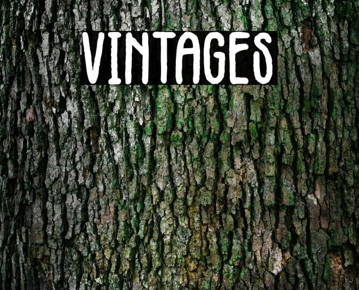 Vintages Font examples