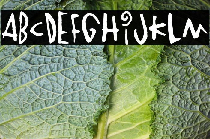 Vinterstad Example 2