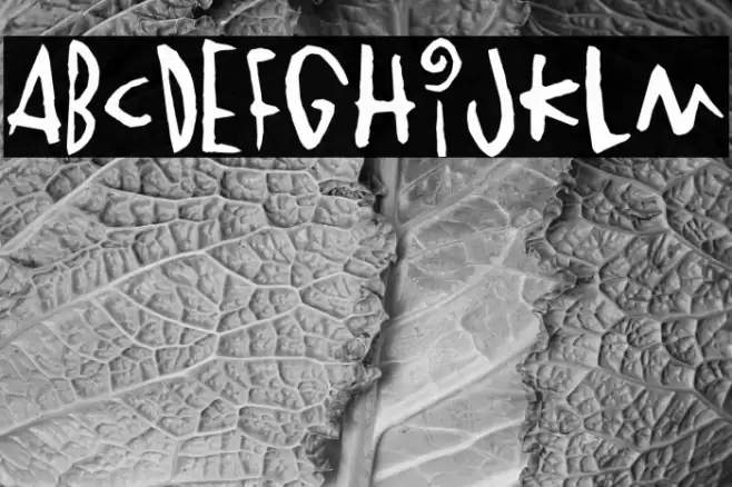 Vinterstad Font examples