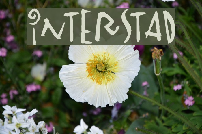 Vinterstad Schriftart examples