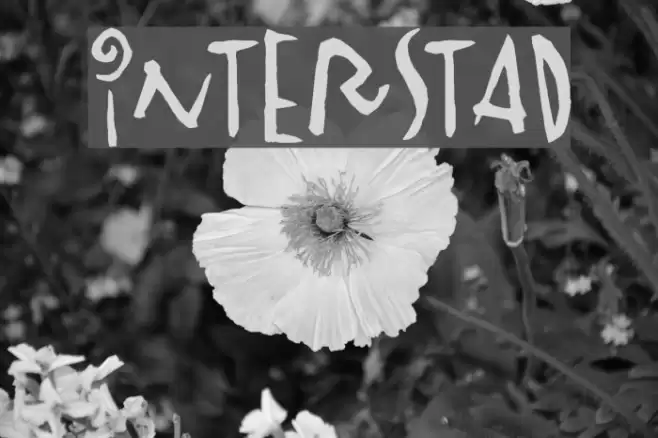 Vinterstad Schriftart examples