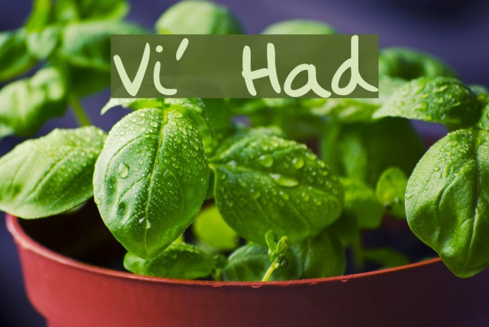 Vintly's Hand Example 3