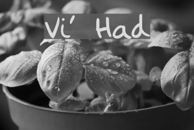 Vintly's Hand Font examples