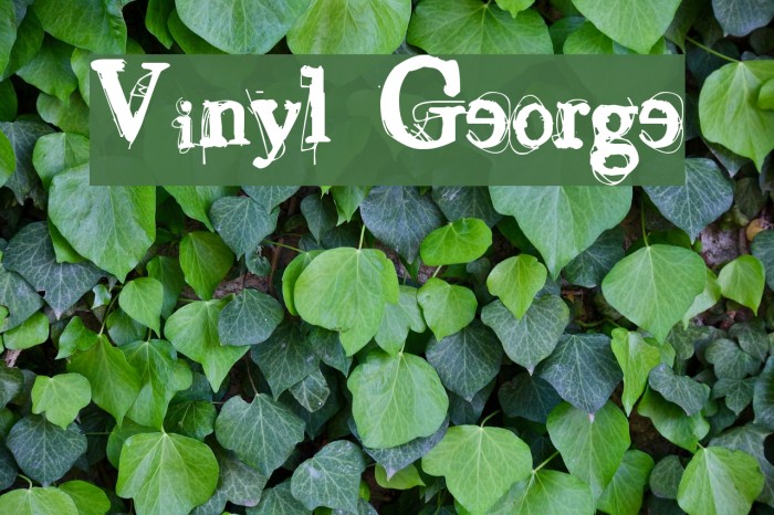 Vinyl George Font examples