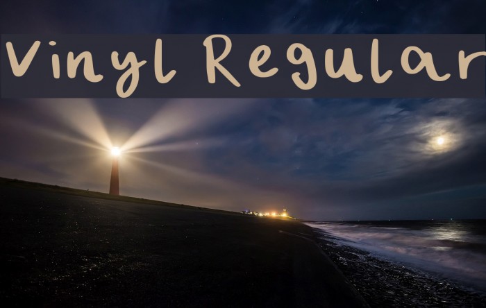 Vinyl Regular Font examples