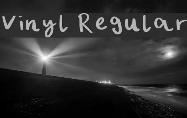 Vinyl Regular Font examples