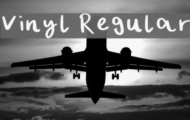 Vinyl Regular Font examples