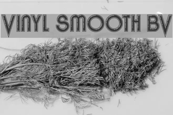 Vinyl Smooth BV Font examples