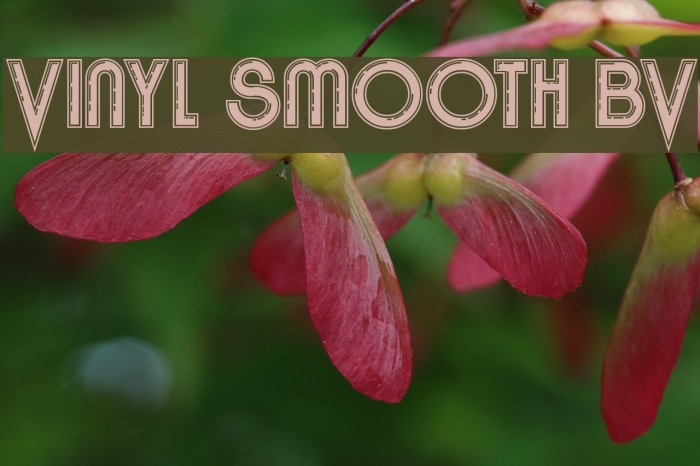 Vinyl Smooth BV Font examples