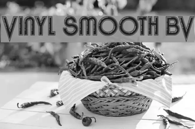 Vinyl Smooth BV Font examples