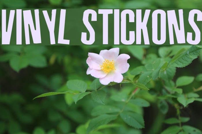Vinyl Stickons Font examples