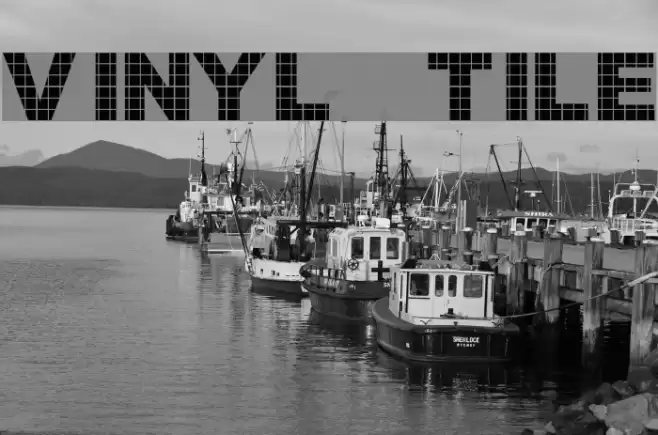 Vinyl Tile Font examples