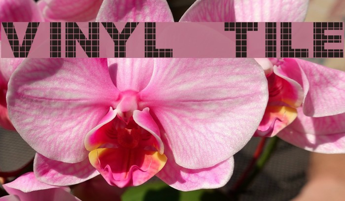 Vinyl Tile Font examples