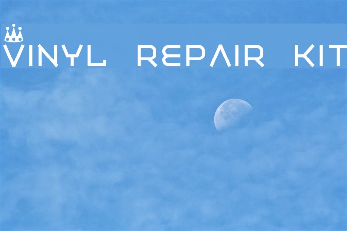 Vinyl repair kit フォント examples