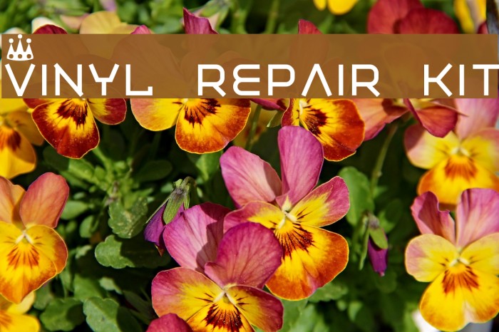 Vinyl repair kit フォント examples