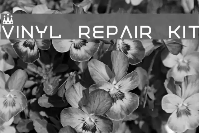 Vinyl repair kit Font examples