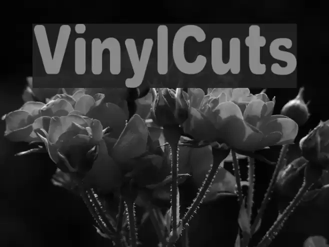 VinylCuts Font examples