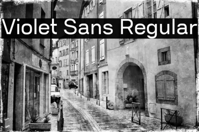 Violet Sans Regular Fuentes examples