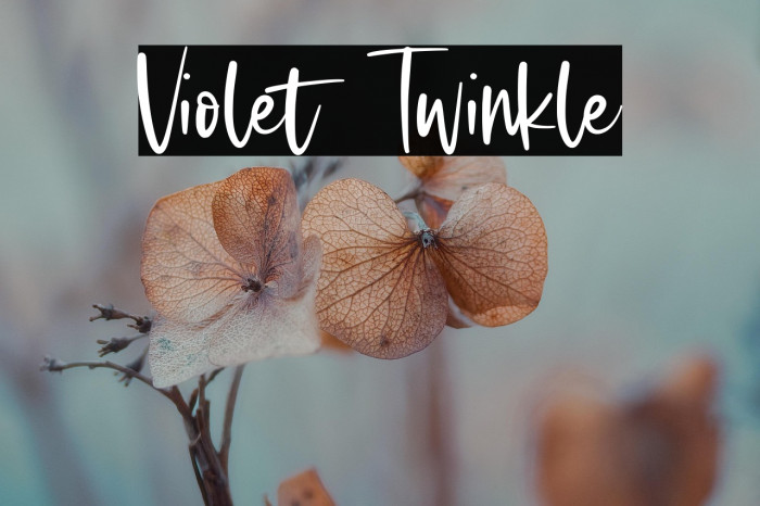 Violet Twinkle Example 1