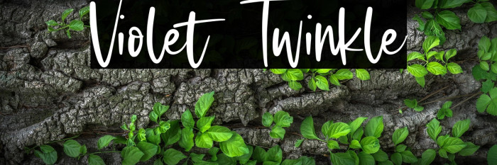 Violet Twinkle Example 2