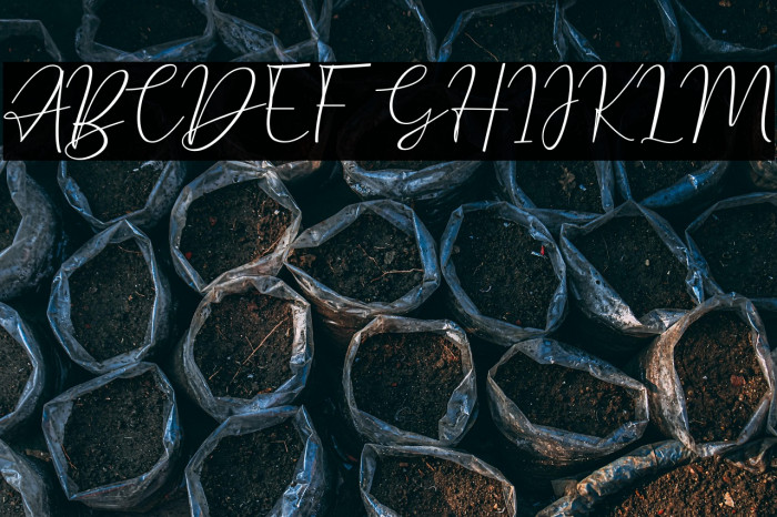 Violet Watson Example 1