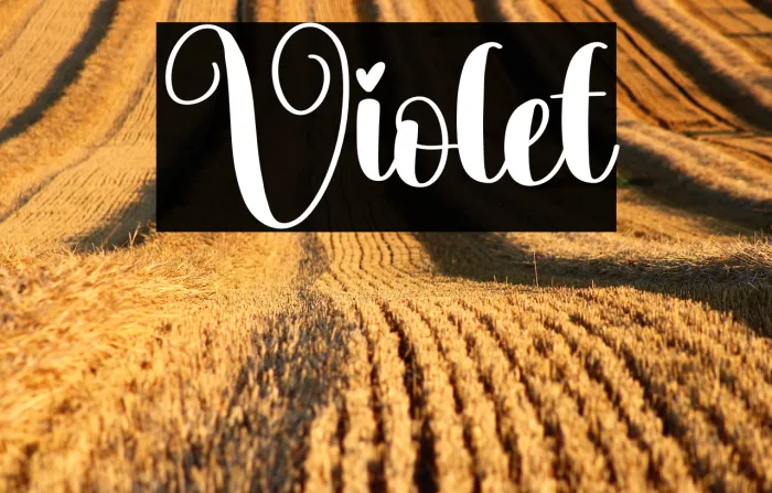 Violet Example 2
