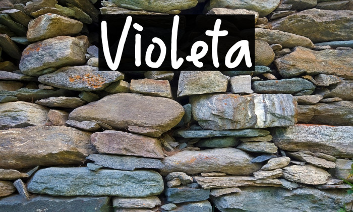 Violeta Example 2