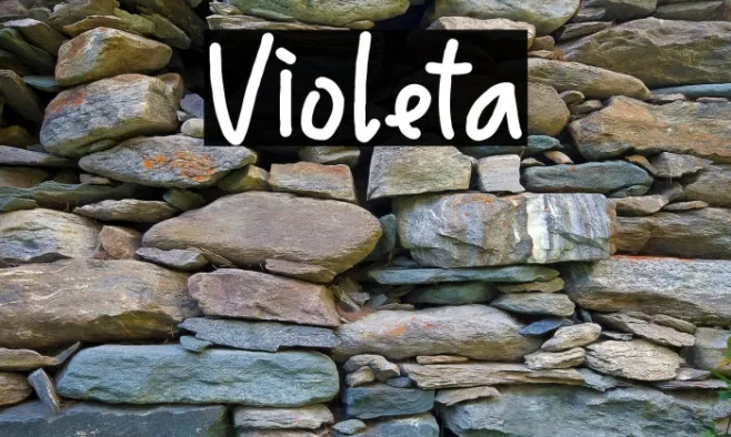 Violeta Example 2