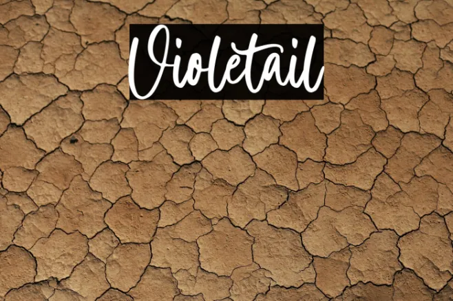Violetail Example 3