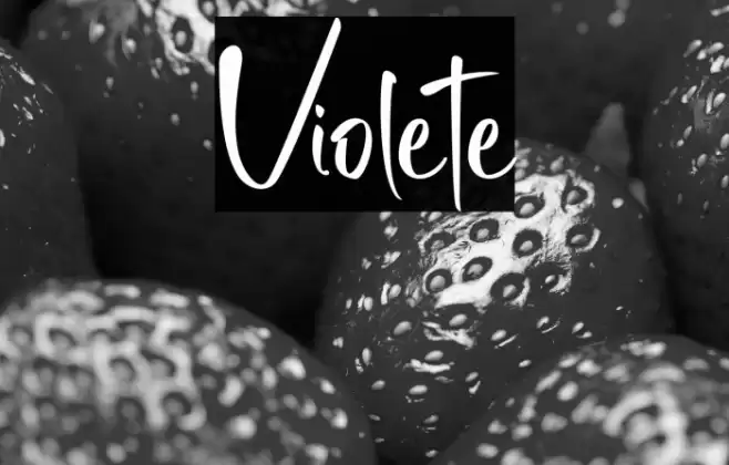 Violete Font examples
