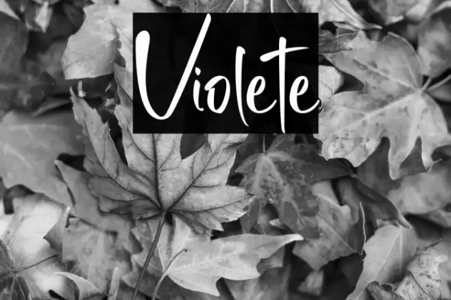 Violete Font examples