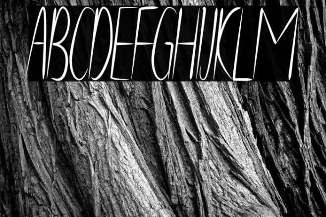 Violetta Font examples