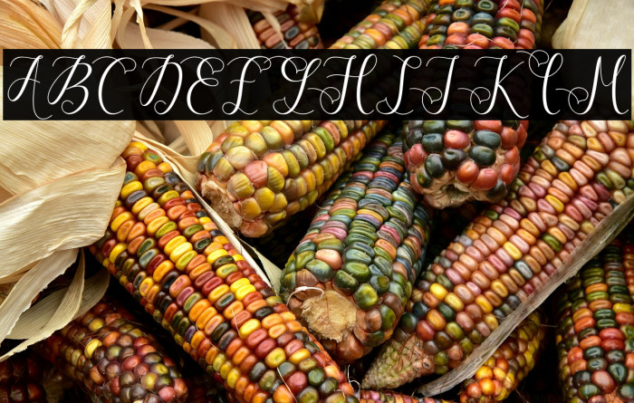 ViolettaScript Example 1