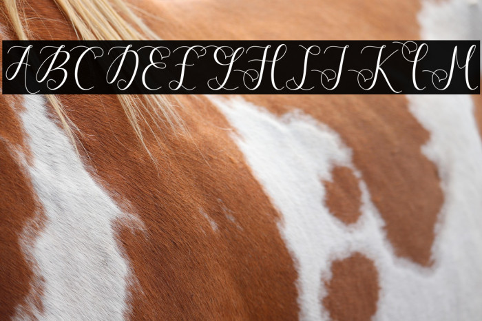 ViolettaScript Example 2