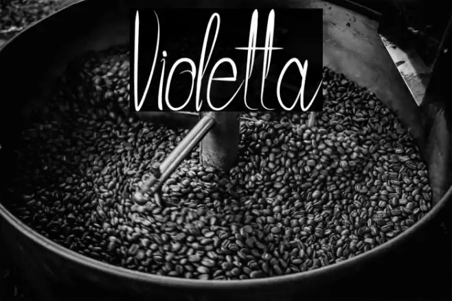 Violetta Font examples