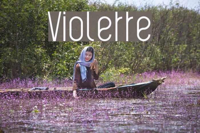 Violette Font examples
