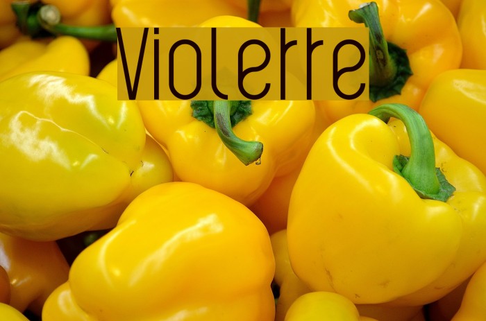 Violette Font examples