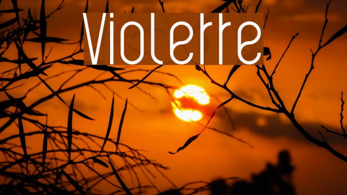 Violette Font examples