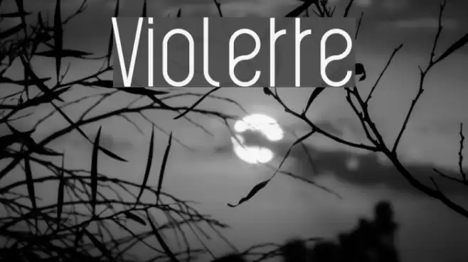 Violette Font examples