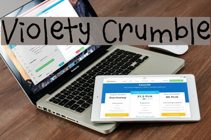 Violety Crumble Font examples