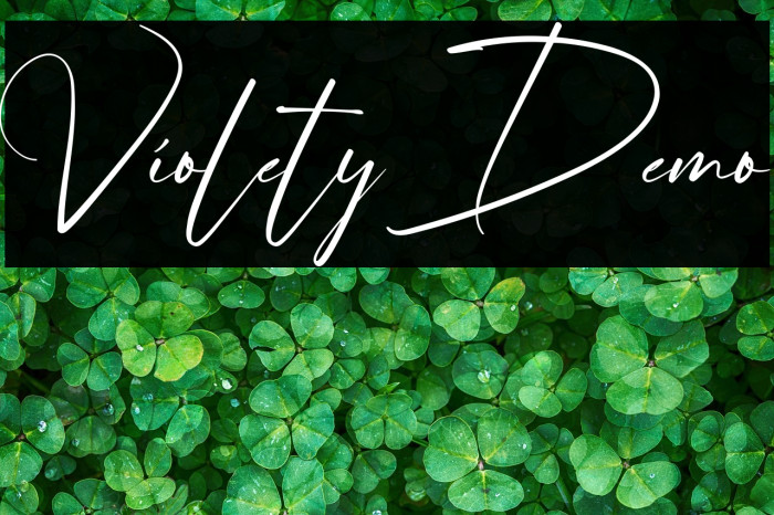 Violety Demo Example 2