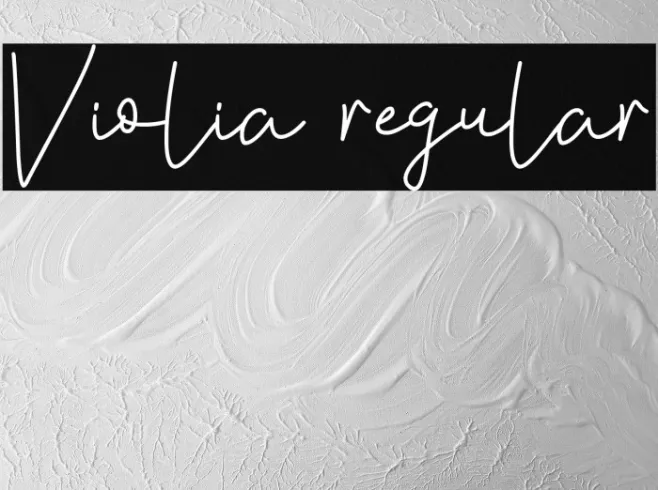 Violia regular Example 2