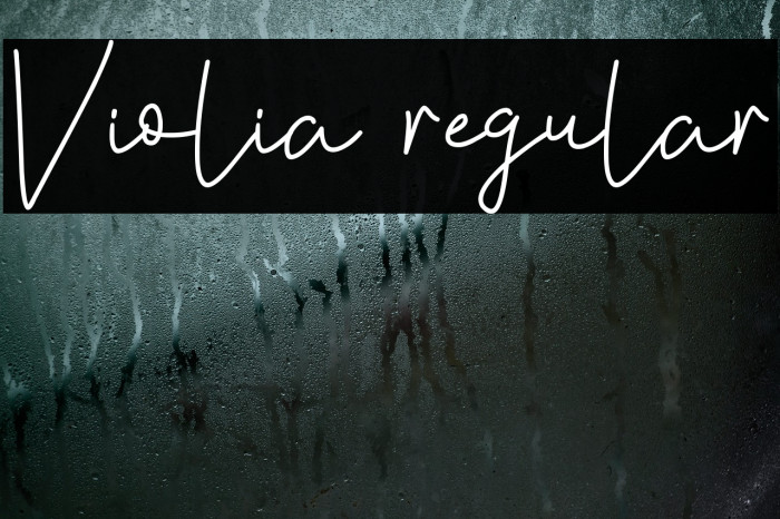Violia regular Font examples
